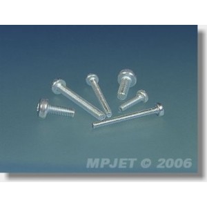0322 Šroub Pan Head M2,5x10 10 ks