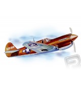 P - 40 Warhawk (711mm) laser.vyřezávaný