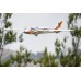 FOX 3000mm ARF