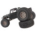 Element RC Enduro Ecto Trail Truck RTR, černá verze (12.8 - 325mm)