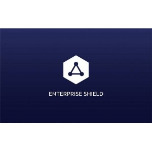 DJI Phantom 4 RTK Shield