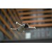 Freewell ND16 filtr pro DJI Mini 3 Pro
