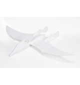 Vector Pteranodon