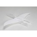 Vector Pteranodon