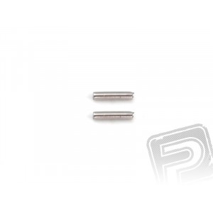 Pin 2x10 (2 ks)
