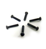 Šroub s půlkulatou hlavou 2x10 mm (6 ks)