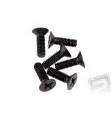 Zápustný šroub 3x10 mm (6 ks)