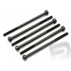 Šroub imbus M3x55mm (6ks.) SAVAGE X