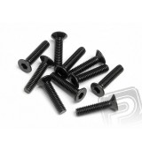Šroub se záp. hlavou M2,5x12mm 10ks