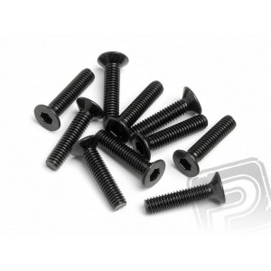 Šroub se záp. hlavou M2,5x12mm 10ks