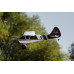 KAVAN Norden 1600mm ARF - bush