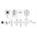 KAVAN Brushless Motor PRO 8050-195