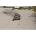 LRP S10 Twister Buggy Brushless RTR - 1/10 Electric 2WD s 2,4GHz RC