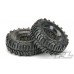 Interco Bogger 1.9