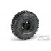 Interco Bogger 1.9